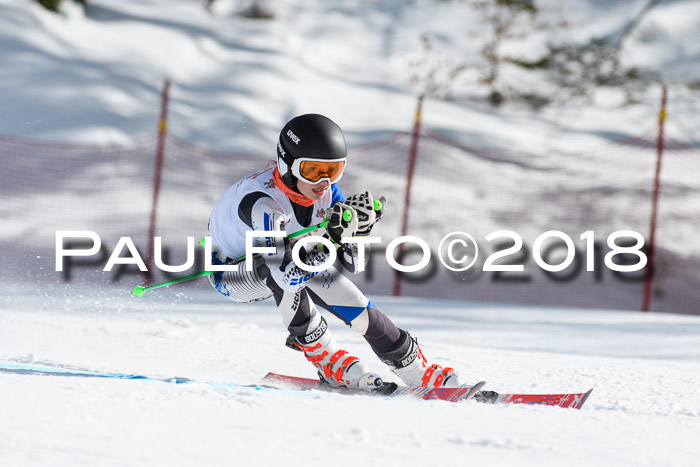 Dt. Schülercup U16 Finale, Riesenslalom, 03.03.2018