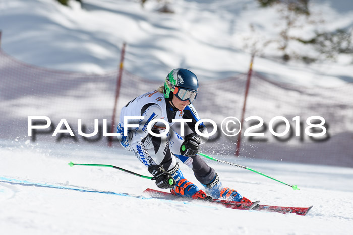 Dt. Schülercup U16 Finale, Riesenslalom, 03.03.2018