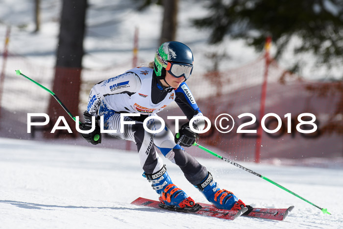 Dt. Schülercup U16 Finale, Riesenslalom, 03.03.2018