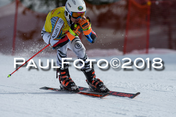 Dt. Schülercup U16 Finale, Riesenslalom, 03.03.2018