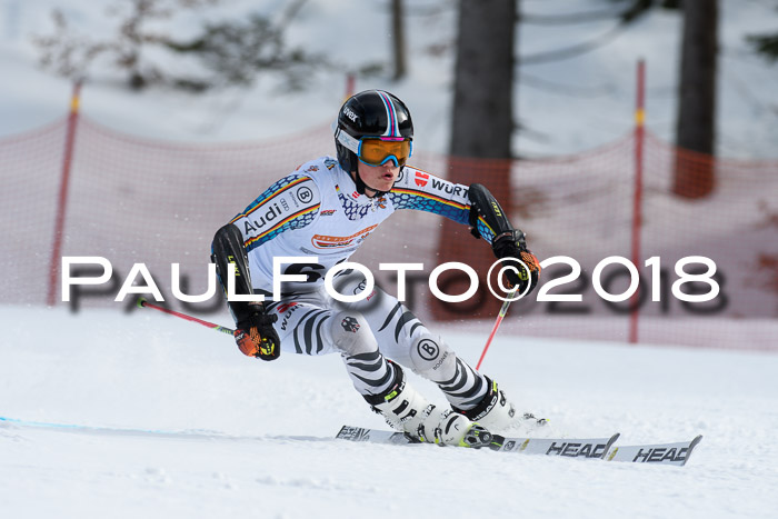 Dt. Schülercup U16 Finale, Riesenslalom, 03.03.2018