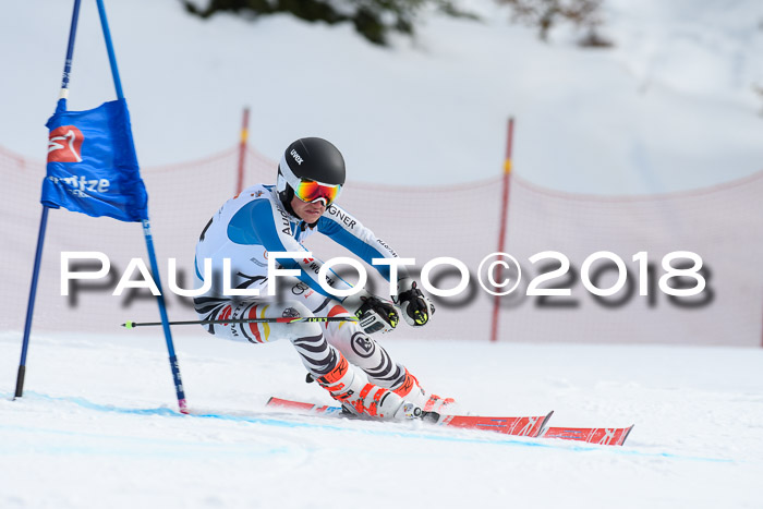 Dt. Schülercup U16 Finale, Riesenslalom, 03.03.2018