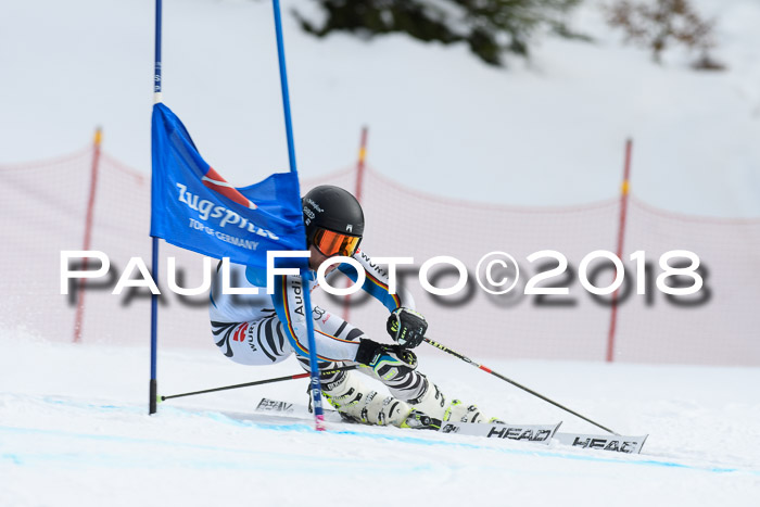 Dt. Schülercup U16 Finale, Riesenslalom, 03.03.2018