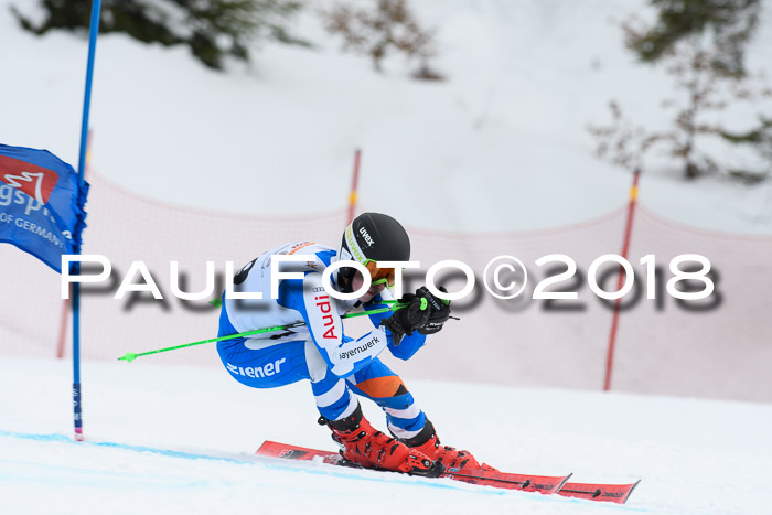 Dt. Schülercup U16 Finale, Riesenslalom, 03.03.2018