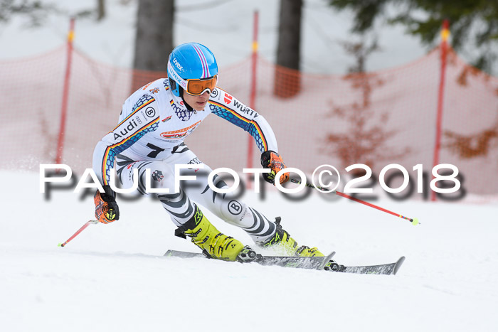 Dt. Schülercup U16 Finale, Riesenslalom, 03.03.2018