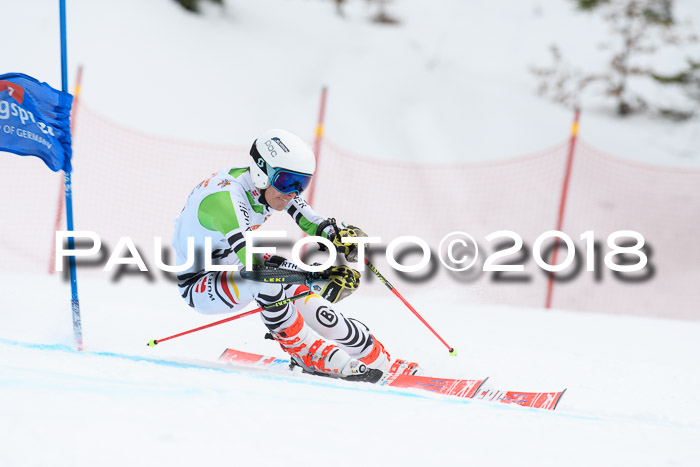 Dt. Schülercup U16 Finale, Riesenslalom, 03.03.2018