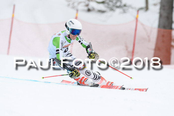 Dt. Schülercup U16 Finale, Riesenslalom, 03.03.2018