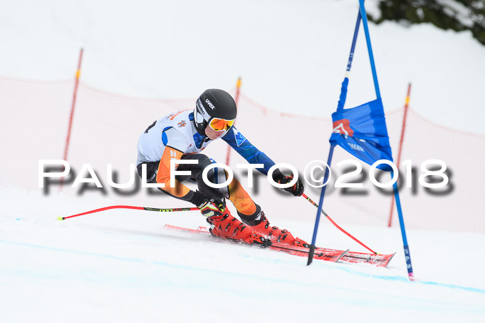 Dt. Schülercup U16 Finale, Riesenslalom, 03.03.2018