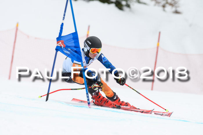 Dt. Schülercup U16 Finale, Riesenslalom, 03.03.2018