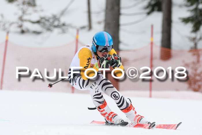 Dt. Schülercup U16 Finale, Riesenslalom, 03.03.2018