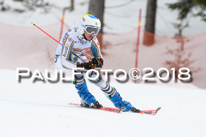 Dt. Schülercup U16 Finale, Riesenslalom, 03.03.2018