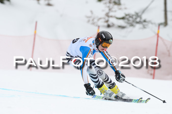 Dt. Schülercup U16 Finale, Riesenslalom, 03.03.2018