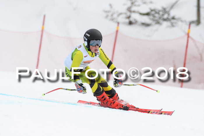 Dt. Schülercup U16 Finale, Riesenslalom, 03.03.2018