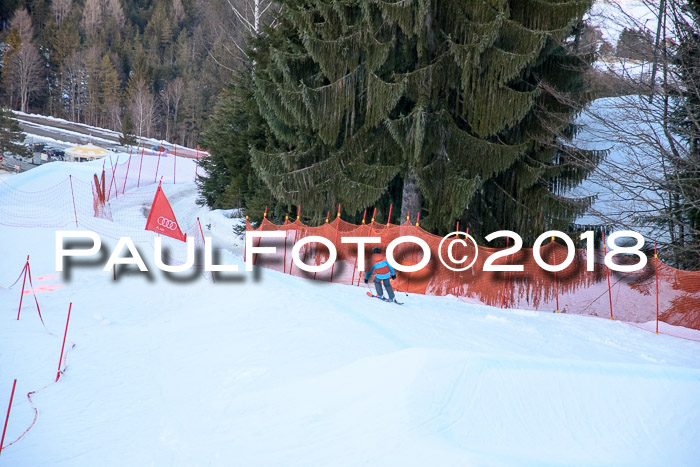 SkiCross Training Mittenwald 04.03.2018