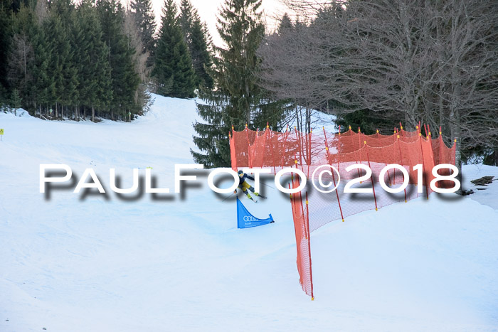 SkiCross Training Mittenwald 04.03.2018