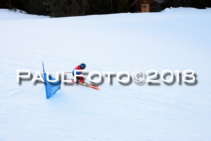 SkiCross Training Mittenwald 04.03.2018