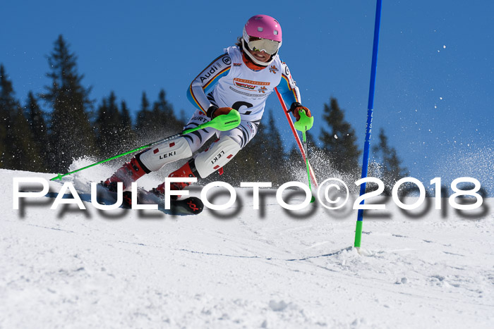 Dt. Schülercup U14 Finale, Slalom, 04.03.2018