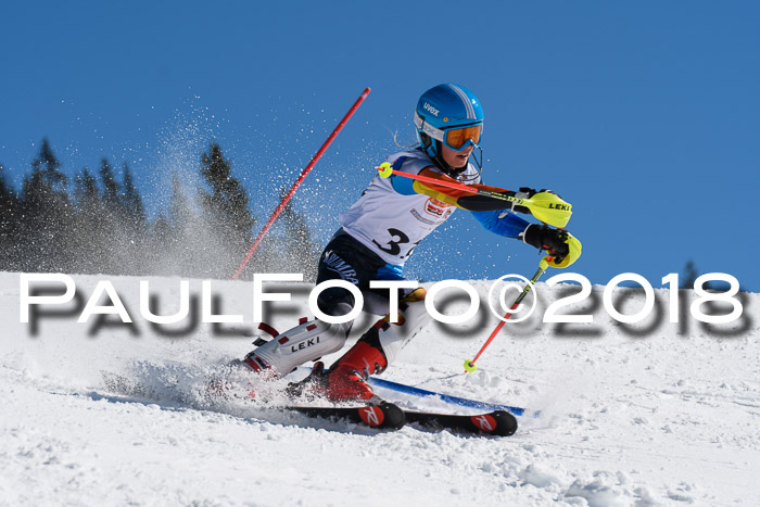 Dt. Schülercup U14 Finale, Slalom, 04.03.2018