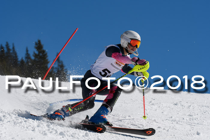 Dt. Schülercup U14 Finale, Slalom, 04.03.2018