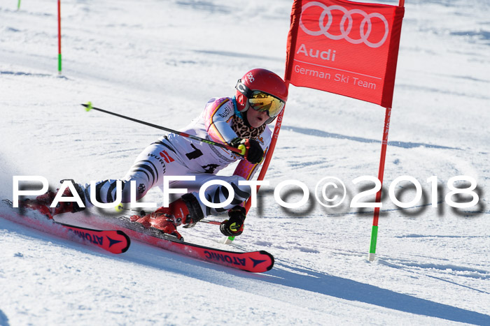 Dt. Schülercup U16 Finale,Parallelslalom, 04.03.2018, Siegerehrungen DSC gesamt