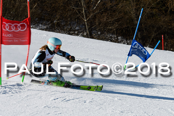 Dt. Schülercup U16 Finale,Parallelslalom, 04.03.2018, Siegerehrungen DSC gesamt