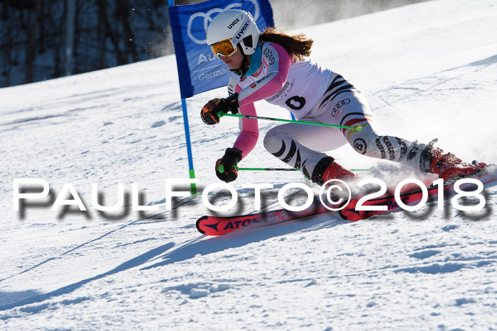 Dt. Schülercup U16 Finale,Parallelslalom, 04.03.2018, Siegerehrungen DSC gesamt