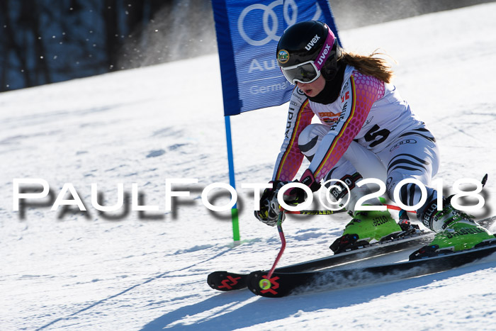 Dt. Schülercup U16 Finale,Parallelslalom, 04.03.2018, Siegerehrungen DSC gesamt