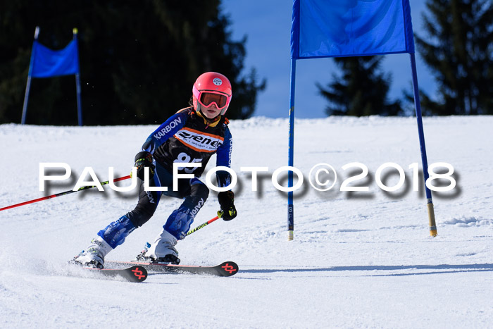 5. WF Ziener Cup + WFM, Steckenberg, 04.03.2018