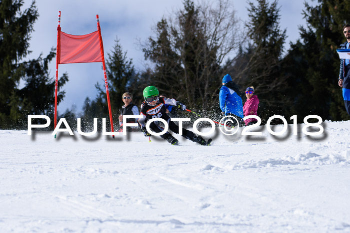 5. WF Ziener Cup + WFM, Steckenberg, 04.03.2018