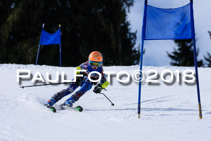 5. WF Ziener Cup + WFM, Steckenberg, 04.03.2018