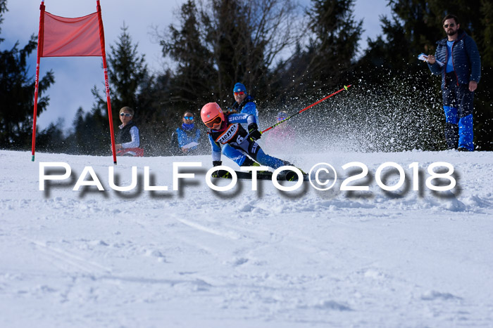 5. WF Ziener Cup + WFM, Steckenberg, 04.03.2018