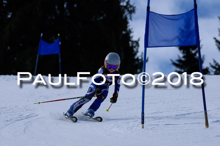 5. WF Ziener Cup + WFM, Steckenberg, 04.03.2018