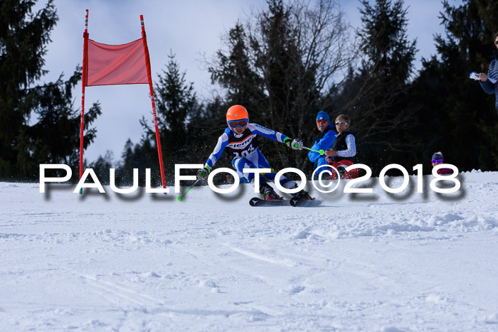 5. WF Ziener Cup + WFM, Steckenberg, 04.03.2018