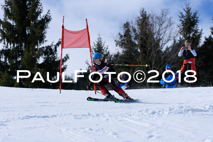 5. WF Ziener Cup + WFM, Steckenberg, 04.03.2018