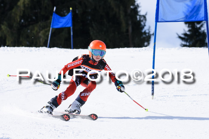 5. WF Ziener Cup + WFM, Steckenberg, 04.03.2018