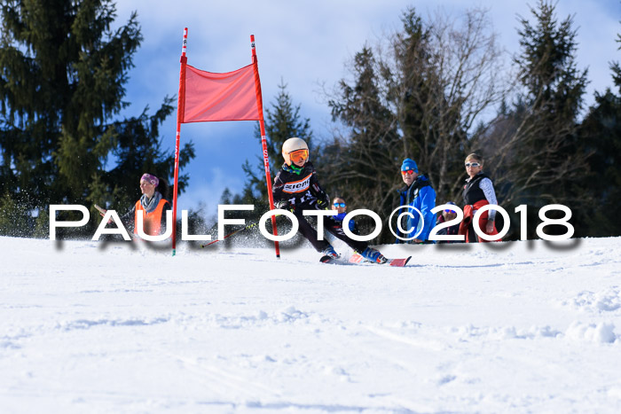 5. WF Ziener Cup + WFM, Steckenberg, 04.03.2018