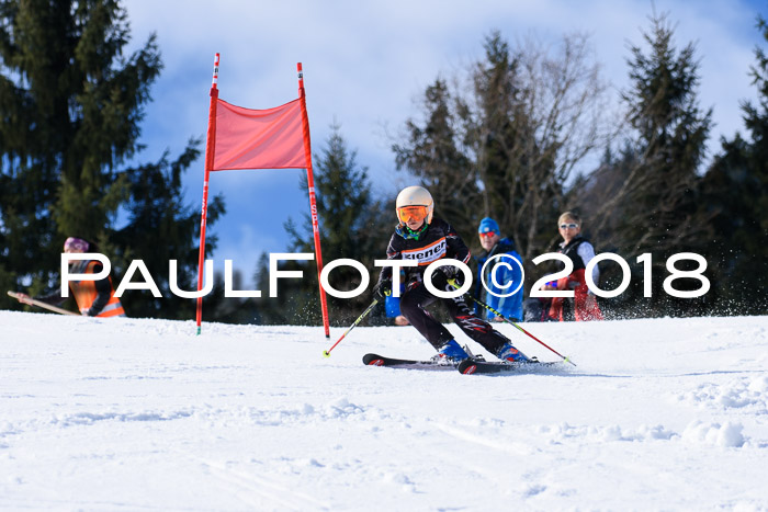 5. WF Ziener Cup + WFM, Steckenberg, 04.03.2018