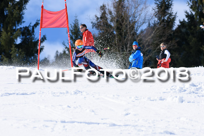 5. WF Ziener Cup + WFM, Steckenberg, 04.03.2018