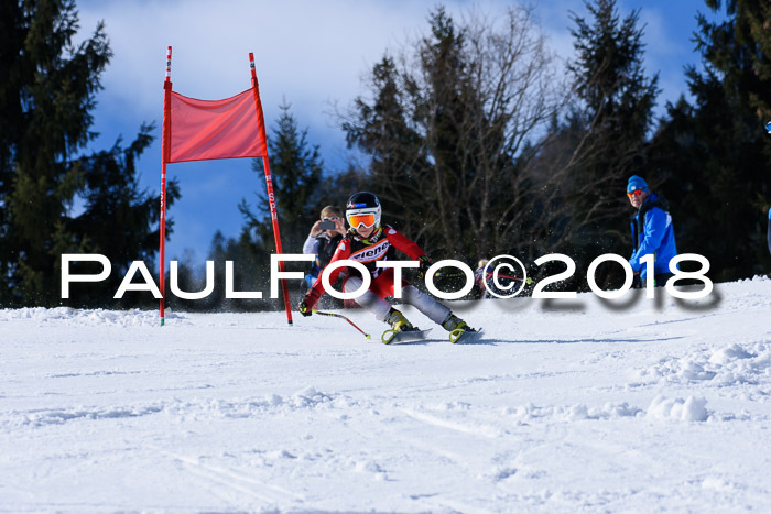 5. WF Ziener Cup + WFM, Steckenberg, 04.03.2018