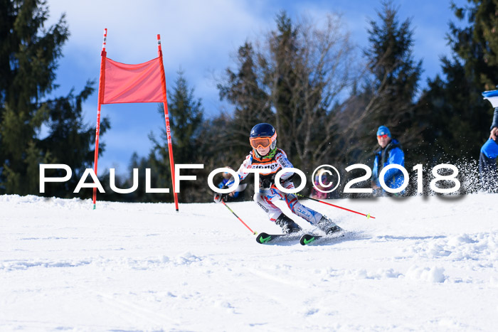 5. WF Ziener Cup + WFM, Steckenberg, 04.03.2018