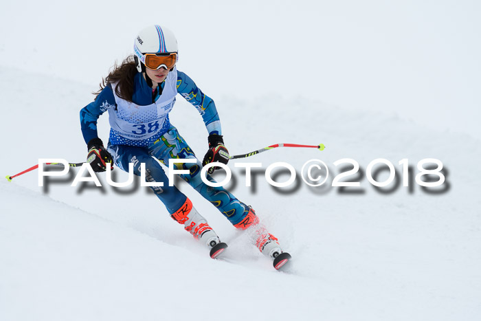 SVM Sechzger Pokal, 10.03.2018