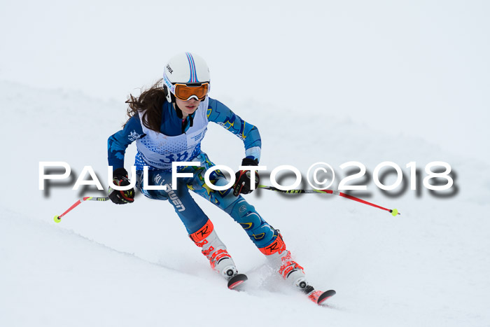 SVM Sechzger Pokal, 10.03.2018