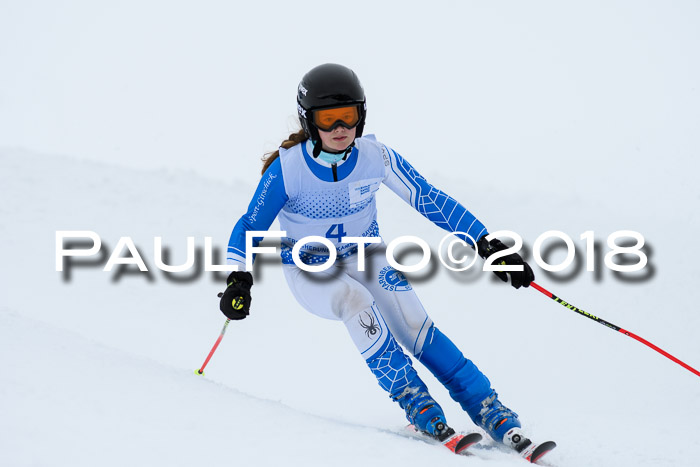 SVM Sechzger Pokal, 10.03.2018