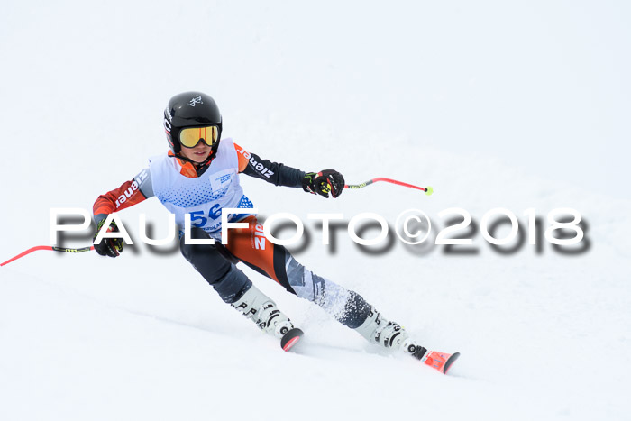 SVM Sechzger Pokal, 10.03.2018