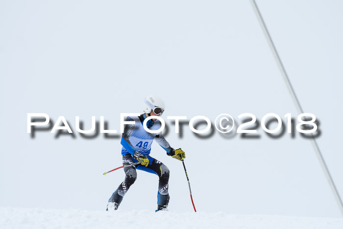 SVM Sechzger Pokal, 10.03.2018