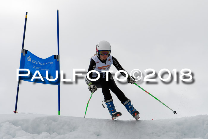 DSV Schülercup U12 Finale PSL, Team, Siegerehrungen, 12.03.2018