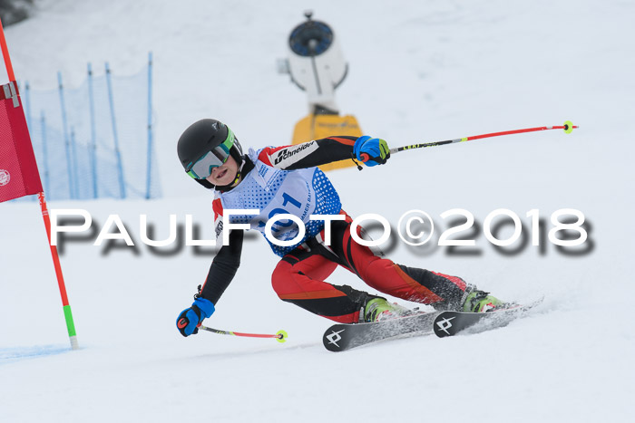 20. SVM Regionalcup-Finale 2018, Kinder, Schüler, Jugend, Erwachsene + Siegerehrungen, 18.03.2018