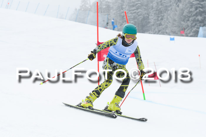 20. SVM Regionalcup-Finale 2018, Kinder, Schüler, Jugend, Erwachsene + Siegerehrungen, 18.03.2018