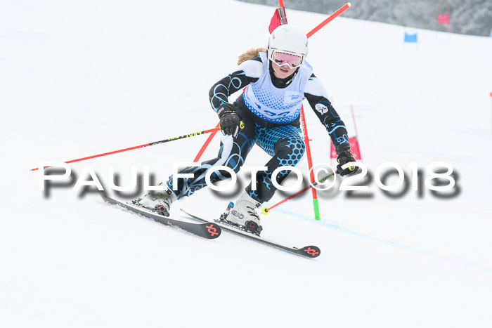 20. SVM Regionalcup-Finale 2018, Kinder, Schüler, Jugend, Erwachsene + Siegerehrungen, 18.03.2018