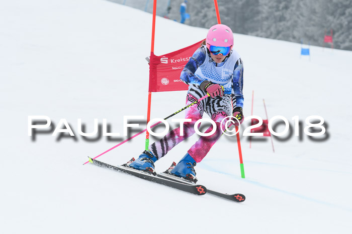 20. SVM Regionalcup-Finale 2018, Kinder, Schüler, Jugend, Erwachsene + Siegerehrungen, 18.03.2018